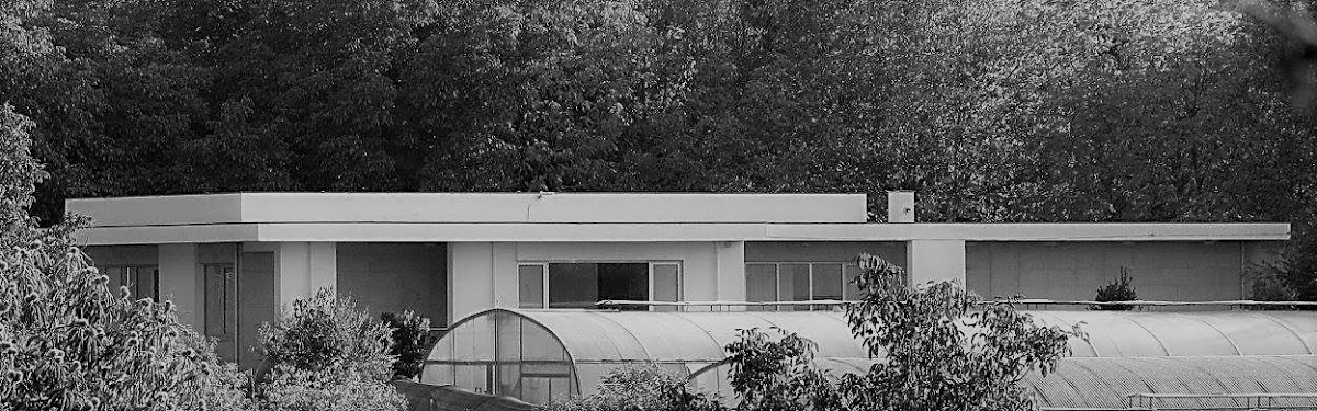 Luís Moreira, Arquitectura e Engenharia foto 2