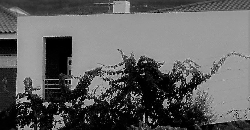 Luís Moreira, Arquitectura e Engenharia foto 4