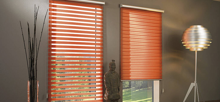 Estores das Devesas foto 3