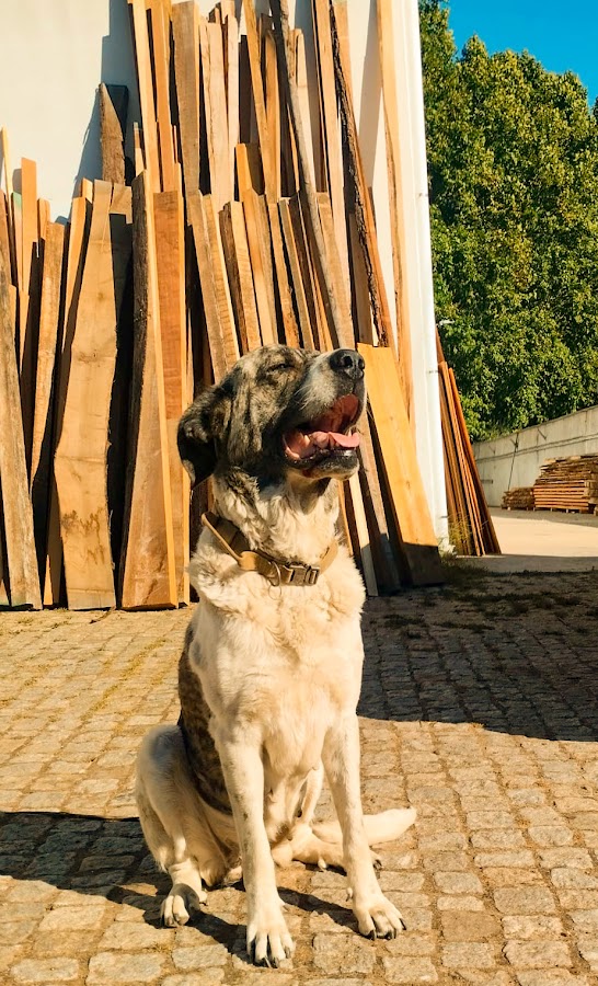 Woodproject foto 9