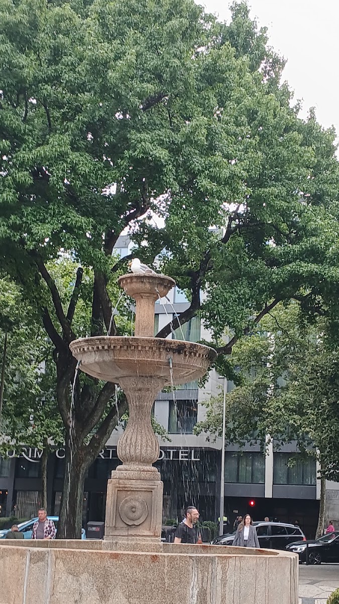 Arvela Arquitetura
