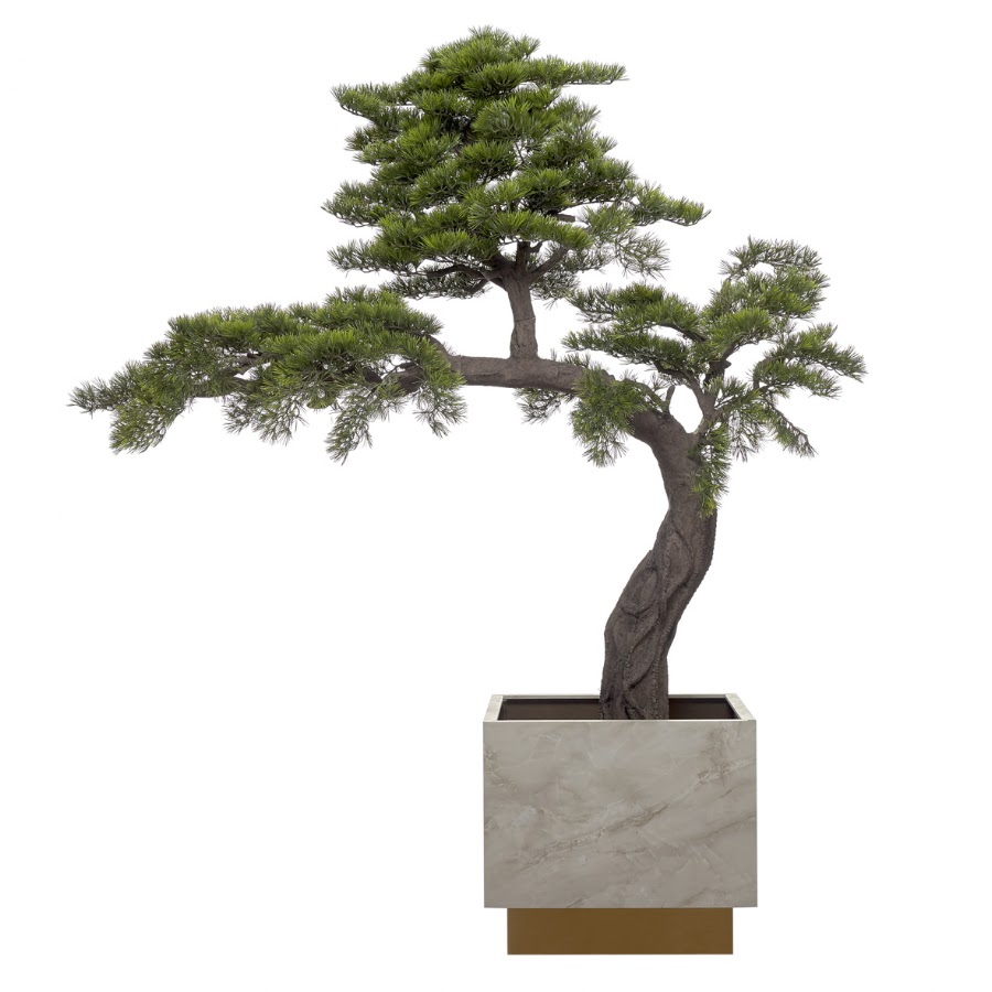 ARBOR PLANTS - Home &amp; Garden foto 5