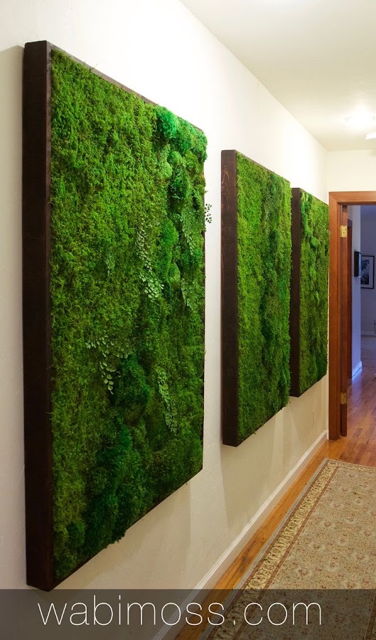 ARBOR PLANTS - Home &amp; Garden foto 7