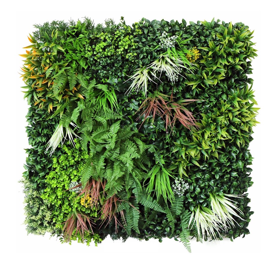 ARBOR PLANTS - Home &amp; Garden foto 9