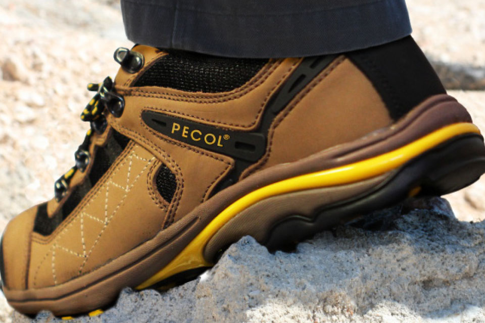 Loja PECOL Aveiro foto 5