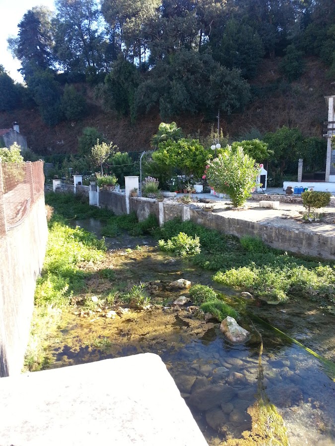 Macosêco, Lda foto 2