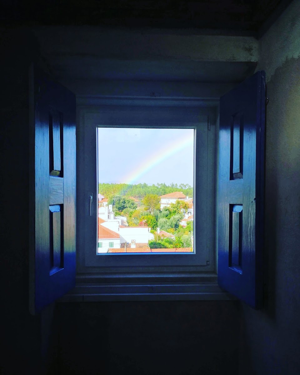 Allrestore - Engenharia Construção e Reabilitação, Lda foto 6
