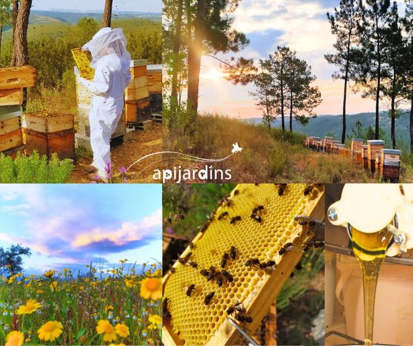 Apijardins foto 6