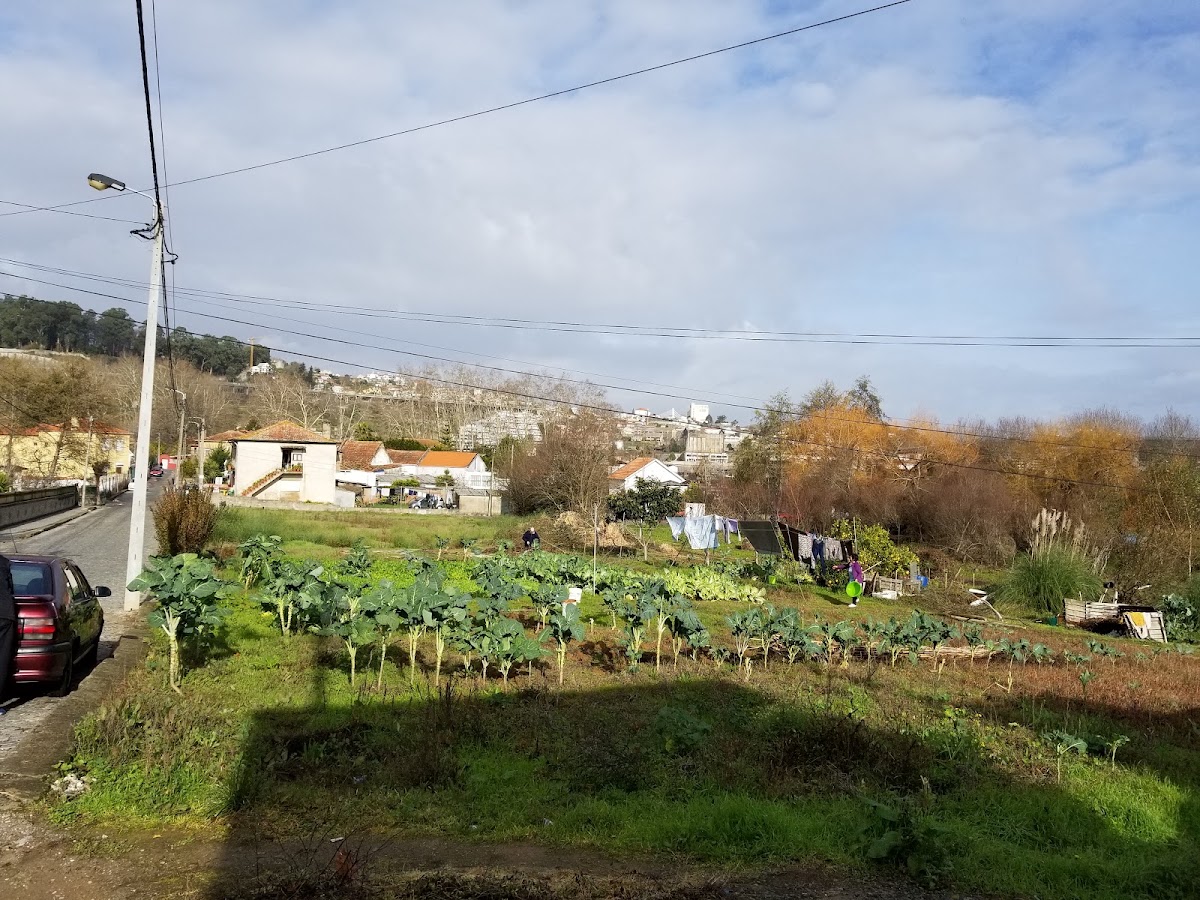Gasanit-instalações Sanitárias Gás E Aquecimento Central Lda foto 3
